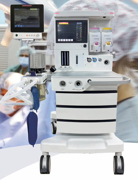 Neurologist examining a brain scan report